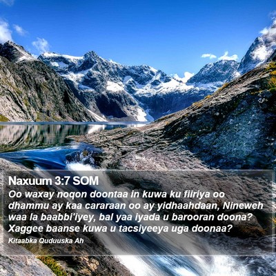 Naxuum 3:7 SOM Bible Verse Image
