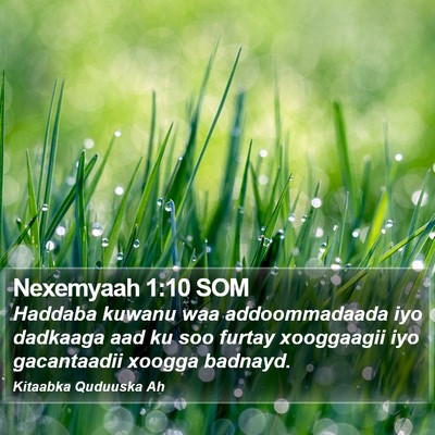 Nexemyaah 1:10 SOM Bible Verse Image