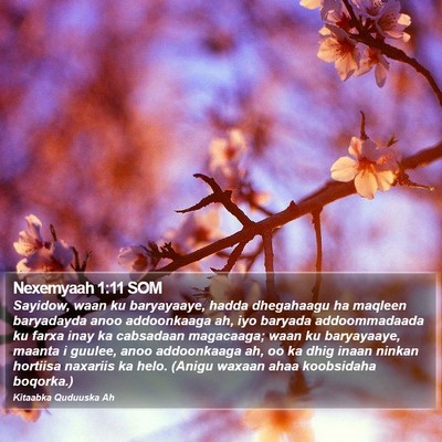 Nexemyaah 1:11 SOM Bible Verse Image