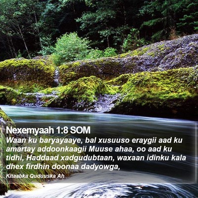 Nexemyaah 1:8 SOM Bible Verse Image