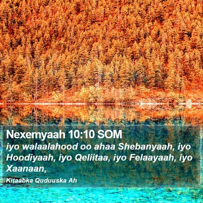 Nexemyaah 10:10 SOM Bible Verse Image