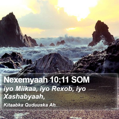 Nexemyaah 10:11 SOM Bible Verse Image