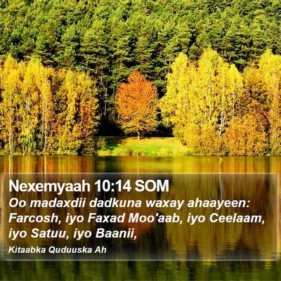 Nexemyaah 10:14 SOM Bible Verse Image