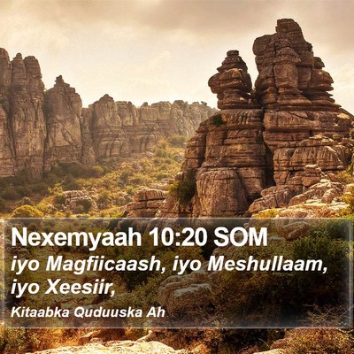 Nexemyaah 10:20 SOM Bible Verse Image