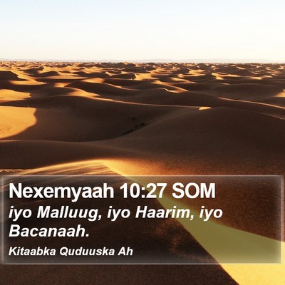 Nexemyaah 10:27 SOM Bible Verse Image
