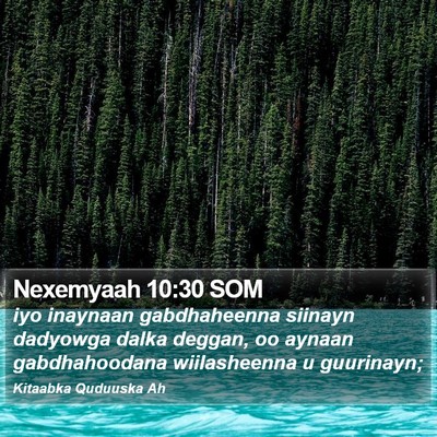 Nexemyaah 10:30 SOM Bible Verse Image
