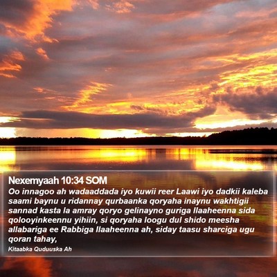 Nexemyaah 10:34 SOM Bible Verse Image