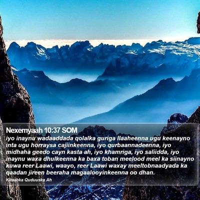 Nexemyaah 10:37 SOM Bible Verse Image