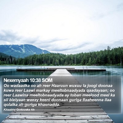 Nexemyaah 10:38 SOM Bible Verse Image