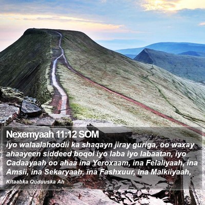 Nexemyaah 11:12 SOM Bible Verse Image