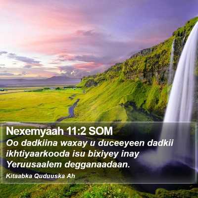Nexemyaah 11:2 SOM Bible Verse Image