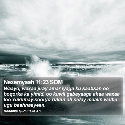 Nexemyaah 11:23 SOM Bible Verse Image