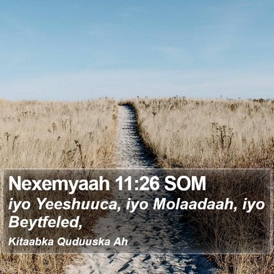 Nexemyaah 11:26 SOM Bible Verse Image