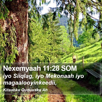 Nexemyaah 11:28 SOM Bible Verse Image