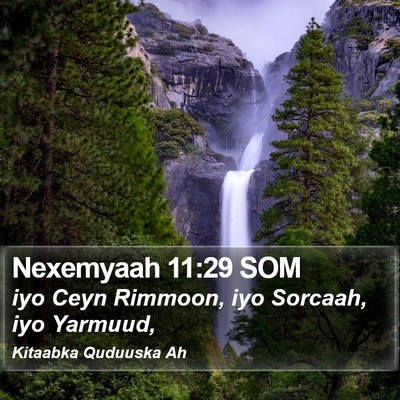 Nexemyaah 11:29 SOM Bible Verse Image