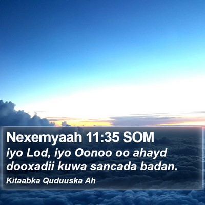 Nexemyaah 11:35 SOM Bible Verse Image