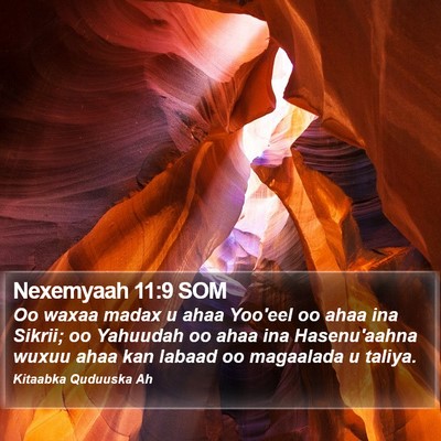 Nexemyaah 11:9 SOM Bible Verse Image