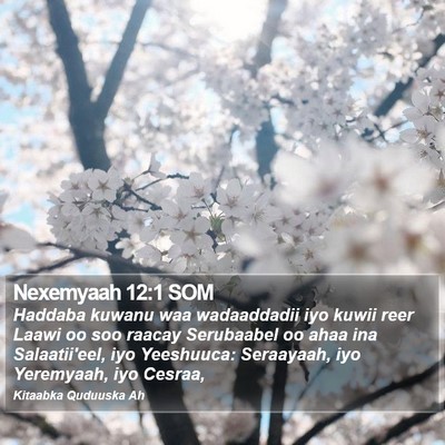 Nexemyaah 12:1 SOM Bible Verse Image