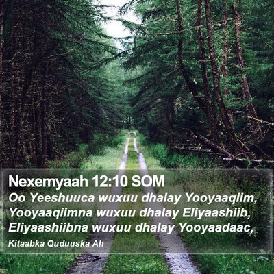 Nexemyaah 12:10 SOM Bible Verse Image