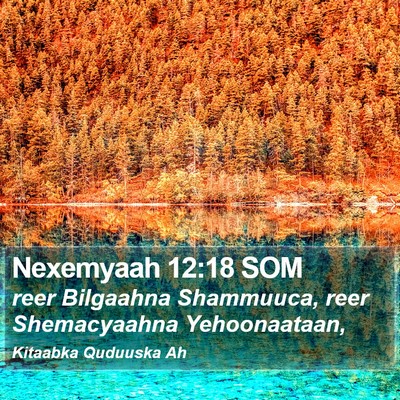 Nexemyaah 12:18 SOM Bible Verse Image