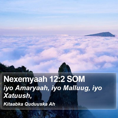 Nexemyaah 12:2 SOM Bible Verse Image