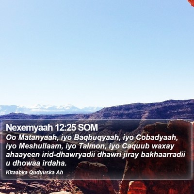 Nexemyaah 12:25 SOM Bible Verse Image