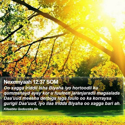 Nexemyaah 12:37 SOM Bible Verse Image