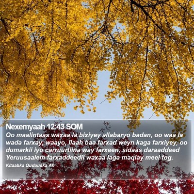 Nexemyaah 12:43 SOM Bible Verse Image