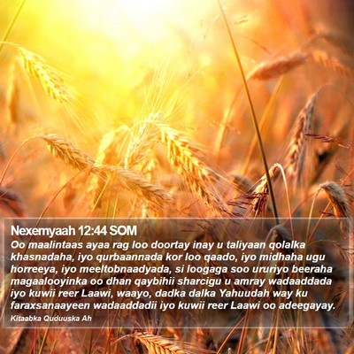 Nexemyaah 12:44 SOM Bible Verse Image