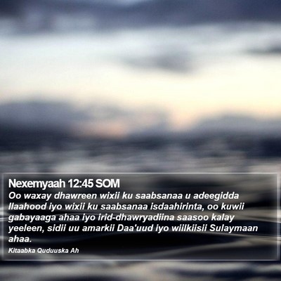 Nexemyaah 12:45 SOM Bible Verse Image