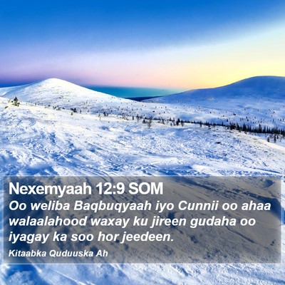 Nexemyaah 12:9 SOM Bible Verse Image