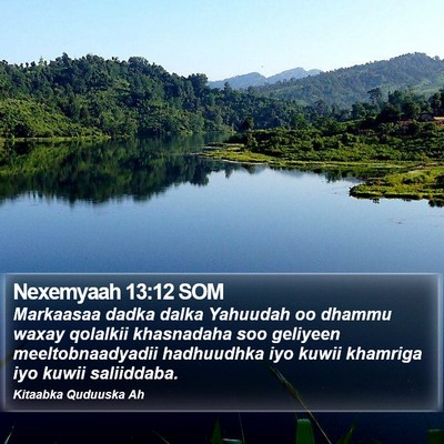Nexemyaah 13:12 SOM Bible Verse Image