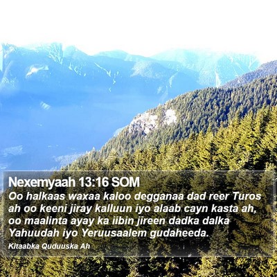 Nexemyaah 13:16 SOM Bible Verse Image