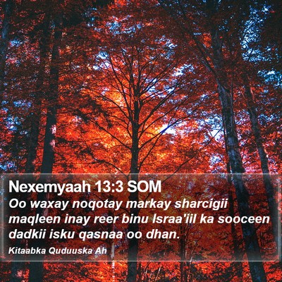 Nexemyaah 13:3 SOM Bible Verse Image
