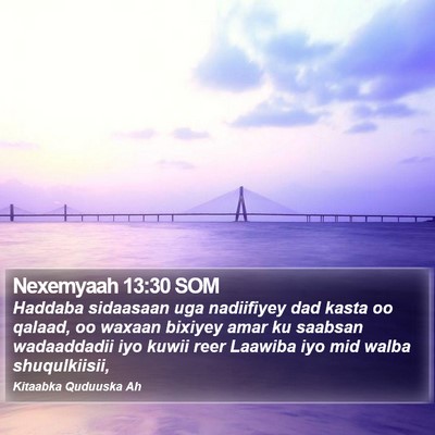 Nexemyaah 13:30 SOM Bible Verse Image