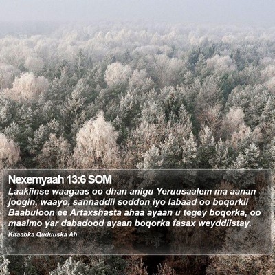 Nexemyaah 13:6 SOM Bible Verse Image