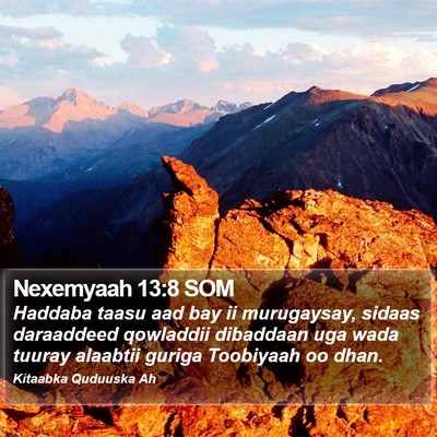 Nexemyaah 13:8 SOM Bible Verse Image