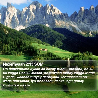 Nexemyaah 2:13 SOM Bible Verse Image
