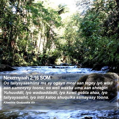 Nexemyaah 2:16 SOM Bible Verse Image