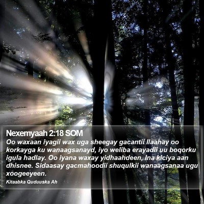 Nexemyaah 2:18 SOM Bible Verse Image