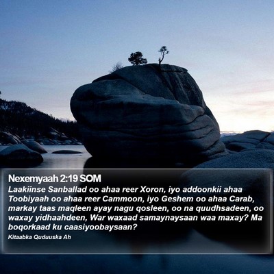 Nexemyaah 2:19 SOM Bible Verse Image