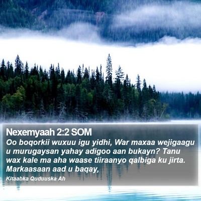 Nexemyaah 2:2 SOM Bible Verse Image