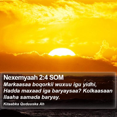Nexemyaah 2:4 SOM Bible Verse Image