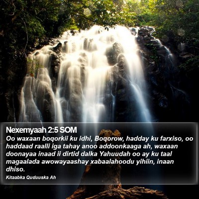 Nexemyaah 2:5 SOM Bible Verse Image