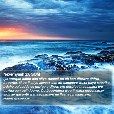 Nexemyaah 2:8 SOM Bible Verse Image