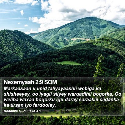 Nexemyaah 2:9 SOM Bible Verse Image