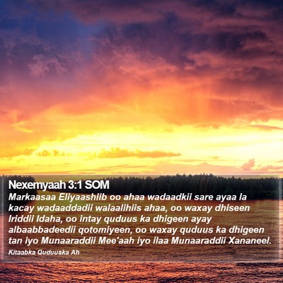 Nexemyaah 3:1 SOM Bible Verse Image