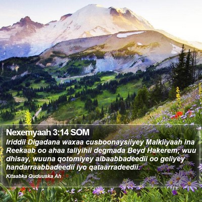 Nexemyaah 3:14 SOM Bible Verse Image