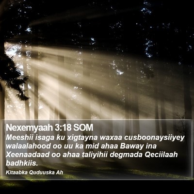 Nexemyaah 3:18 SOM Bible Verse Image