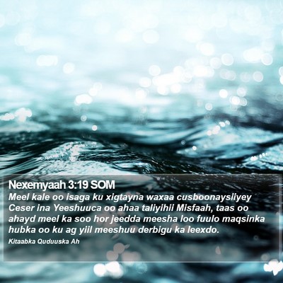 Nexemyaah 3:19 SOM Bible Verse Image